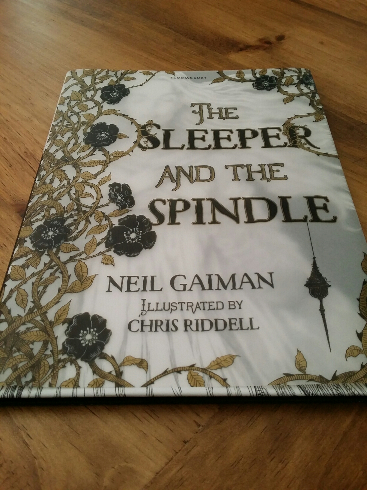 Sleeper and the Spindle book