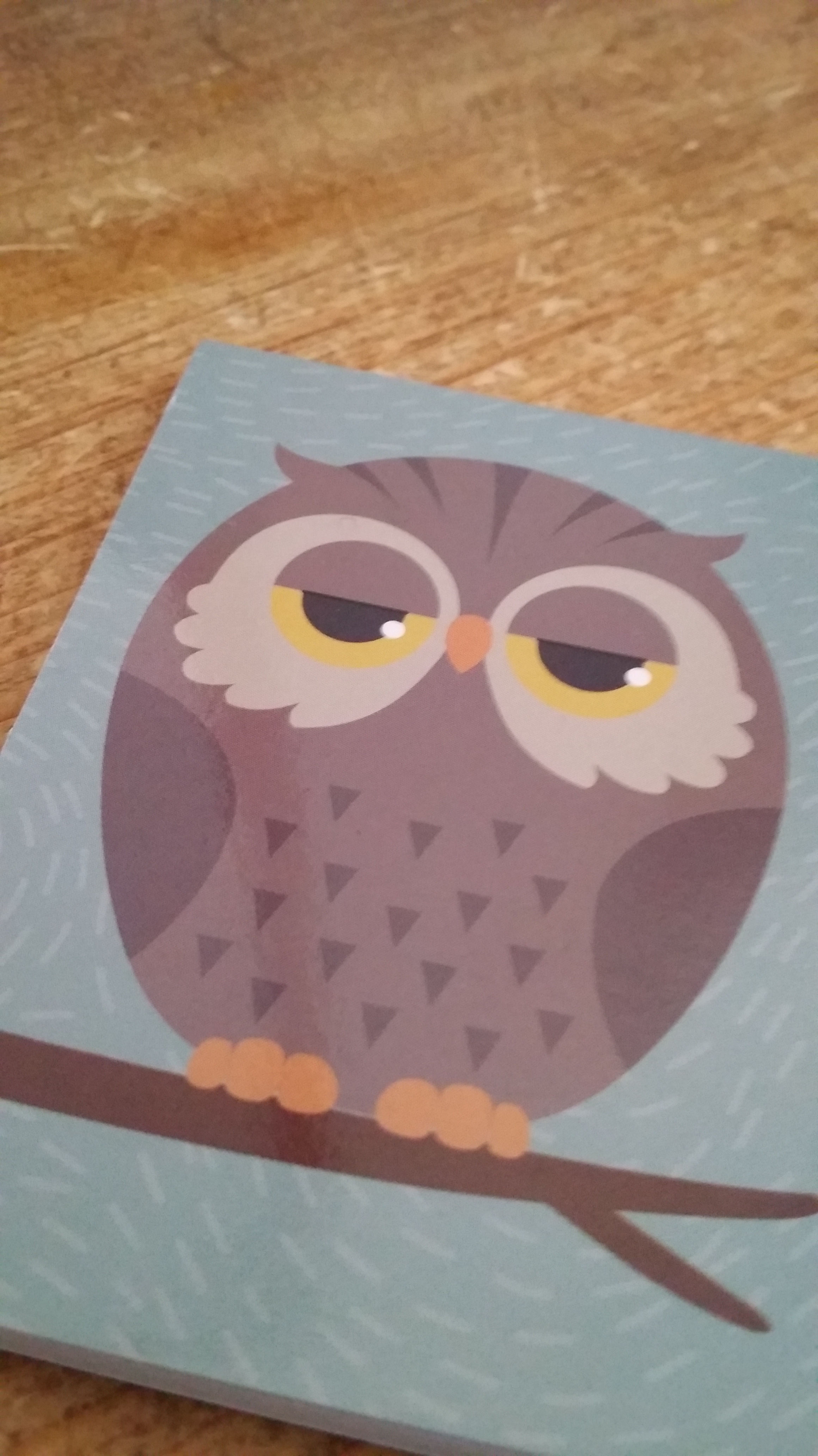 Owl notebook