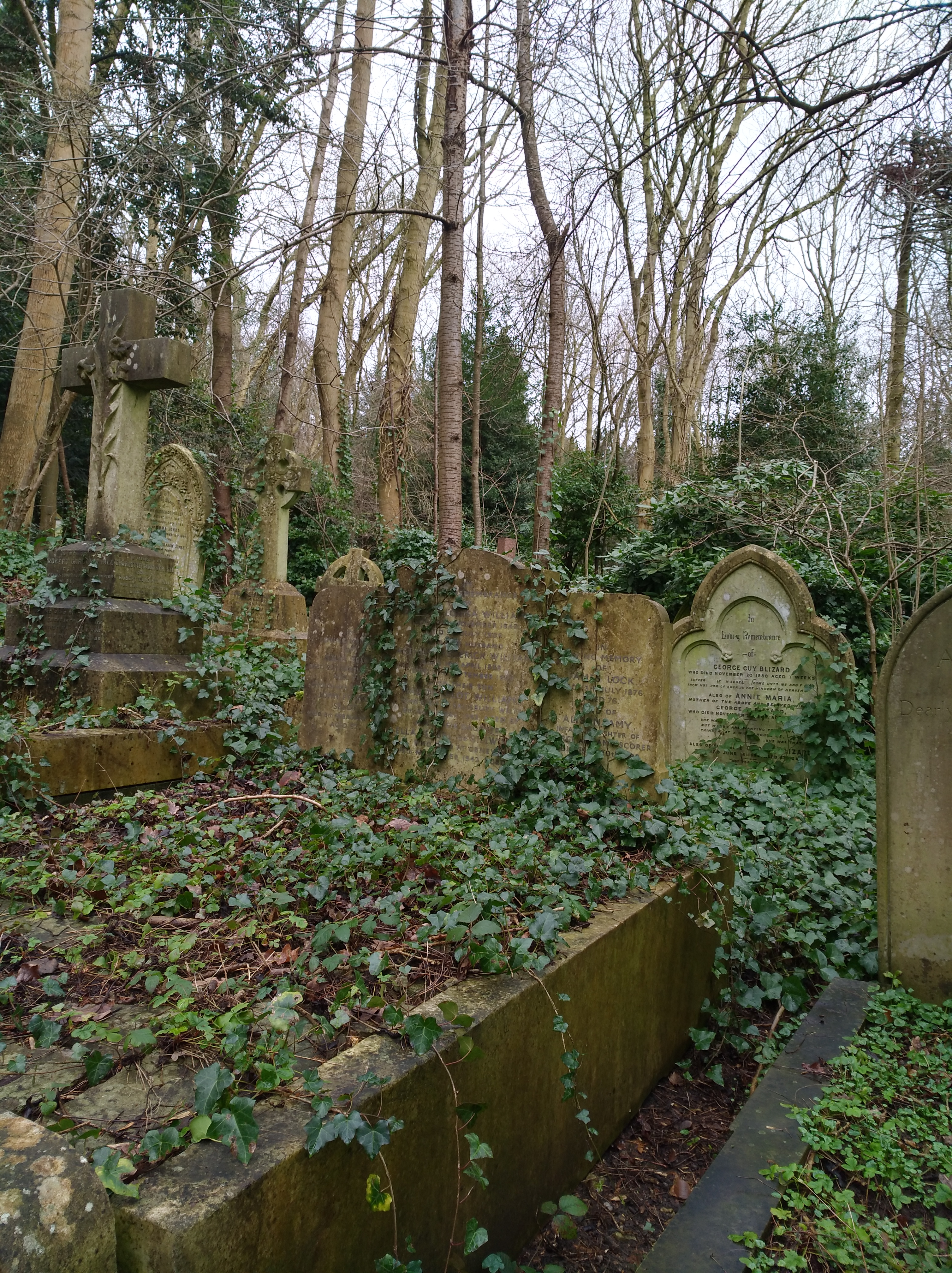 Image of Highgate Cemetery West