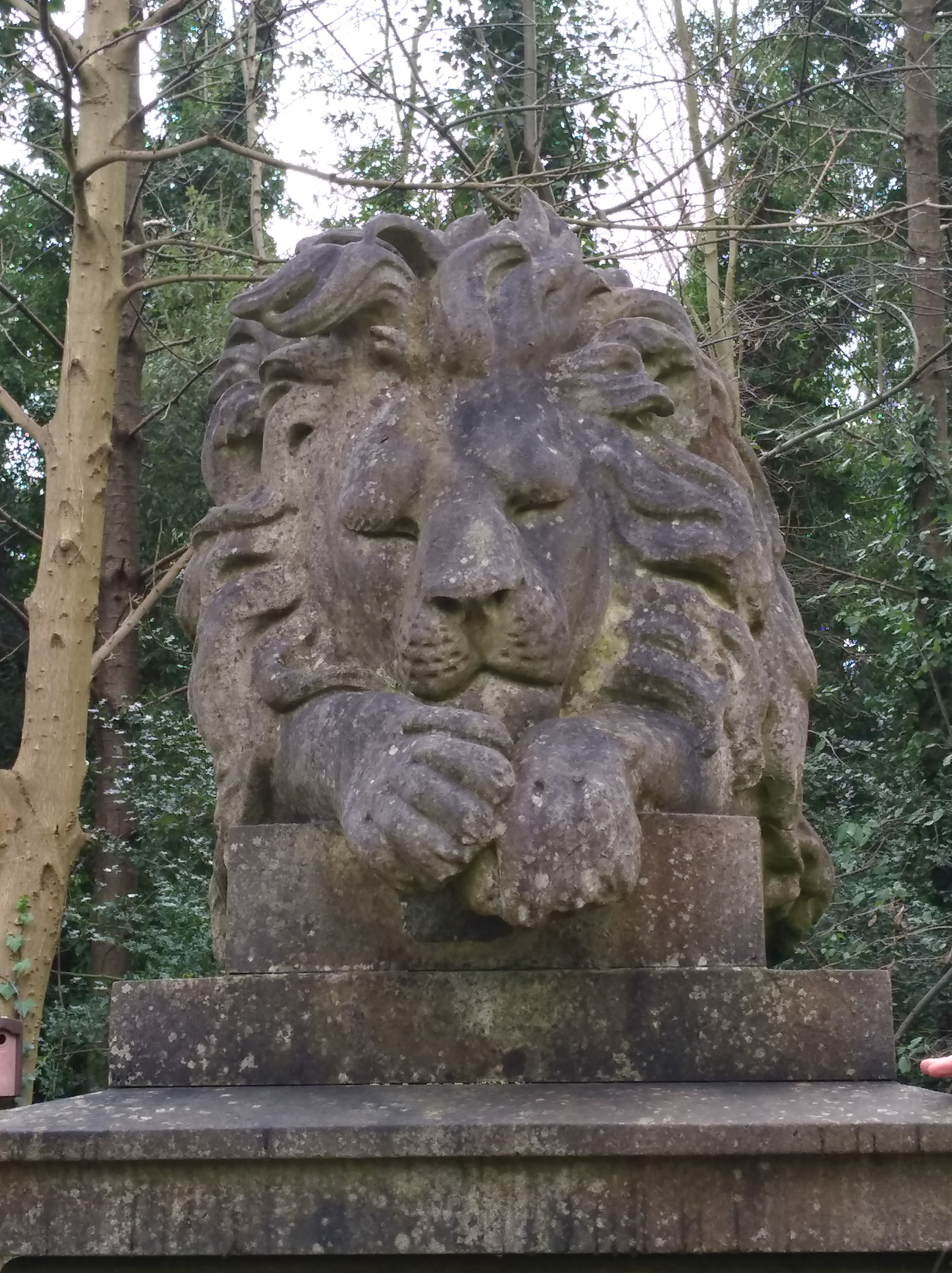George Wombwell's Lion