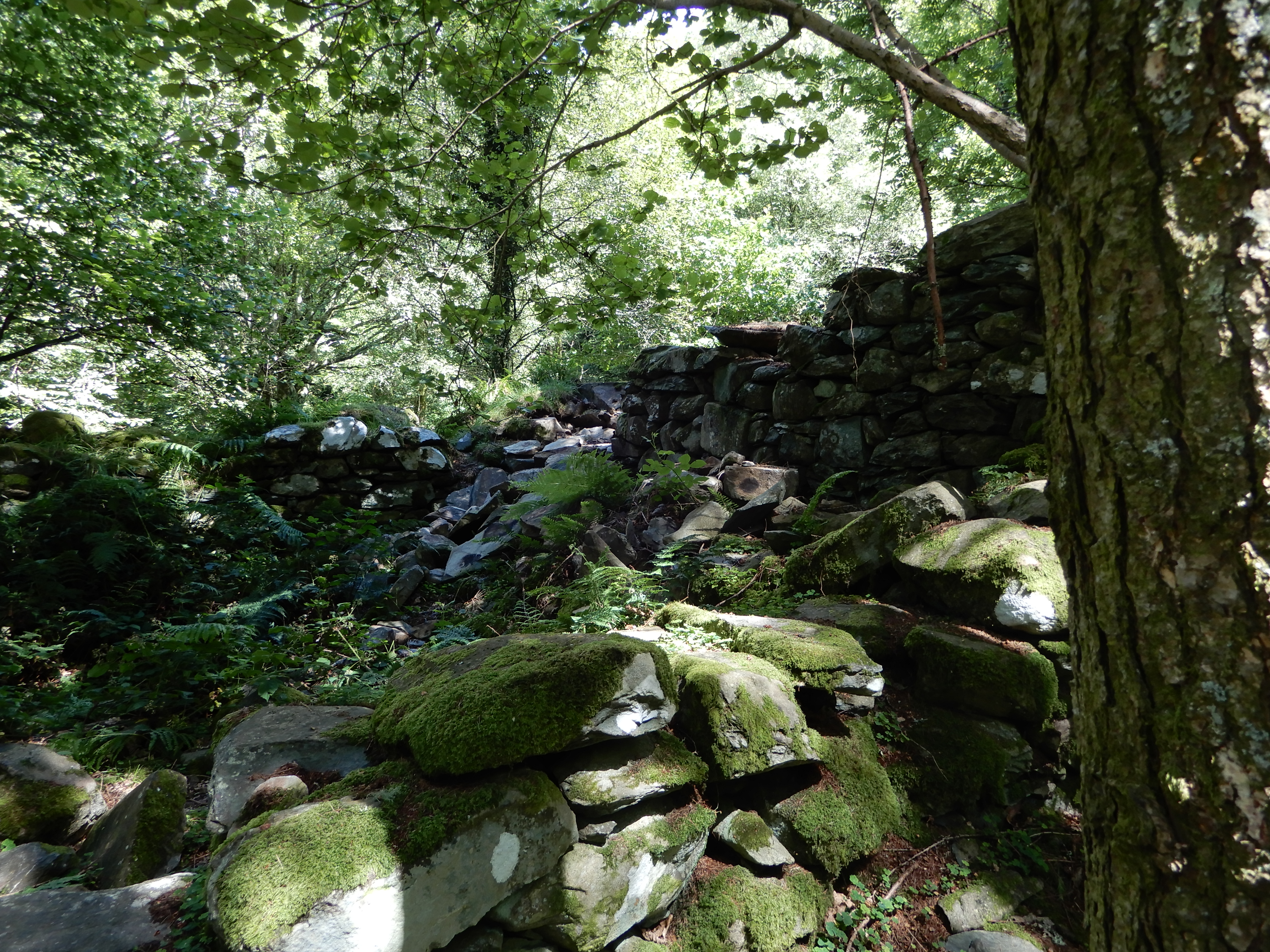 Photo of derelict stone cottage walls